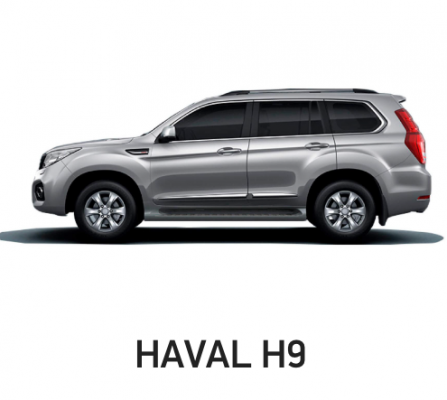 Ремонт Детейлинг Haval H9