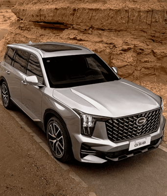 Химчистка GAC GS8 Химчистка GAC GS8 